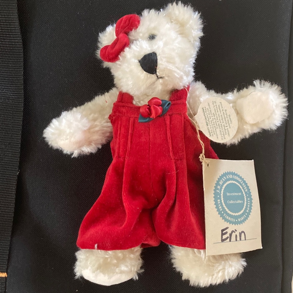 HOST PICK😀Boyds Bears Erin Teddy Bear